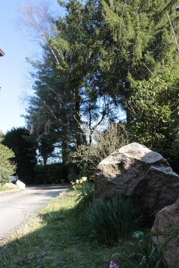 Paradeisos Residence Sas Somma Lombardo Luaran gambar